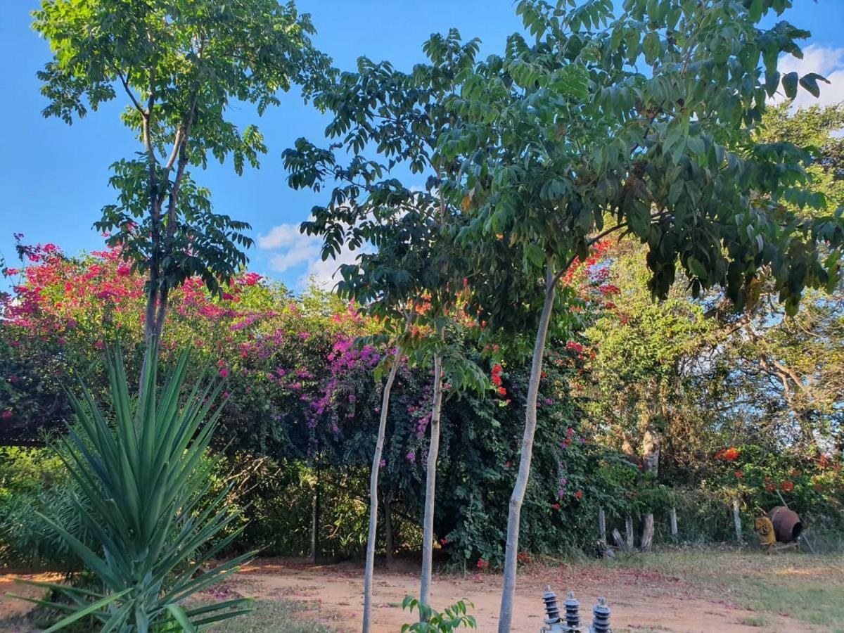 Pousada Do Rio Corrente Alvorada do Norte Eksteriør bilde